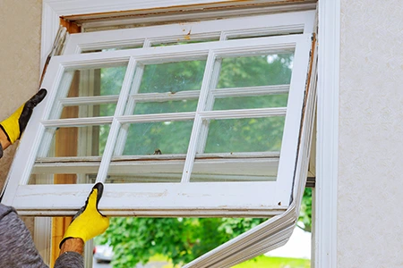 Window Replacement in Ruskin