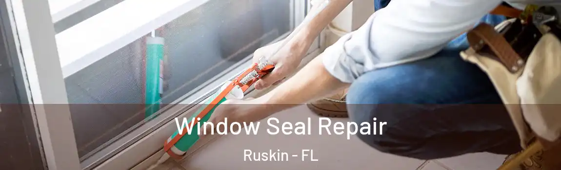  Window Seal Repair Ruskin - FL